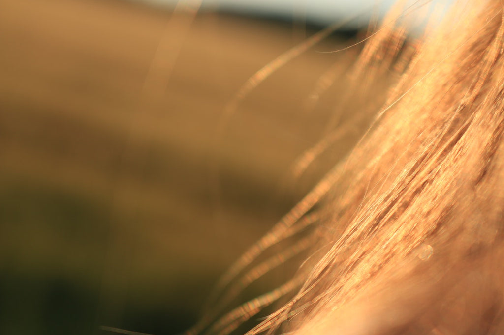 Three Stages Of Hair Growth